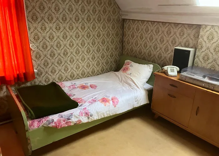 Проживание в семье Het Werkhuis, Terug In De Tijd *